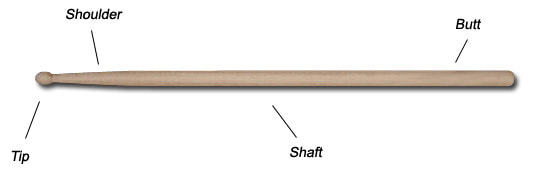 Parts of the Drumstick